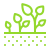 5 000 PLANTES