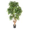 Ficus Natasja 5 têtes H170cm (tronc naturel, feuillage artificiel) non rempoté