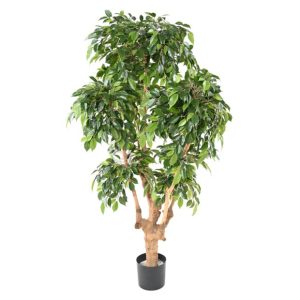 Ficus Natasja 5 têtes H170cm (tronc naturel, feuillage artificiel) non rempoté