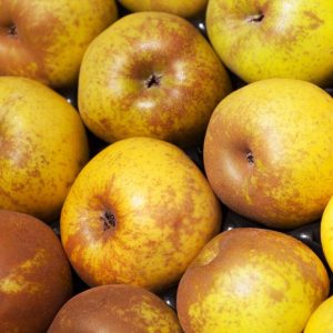 Pommier
