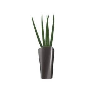 Sansevière en pot anthracite Lechuza (H.130cm)