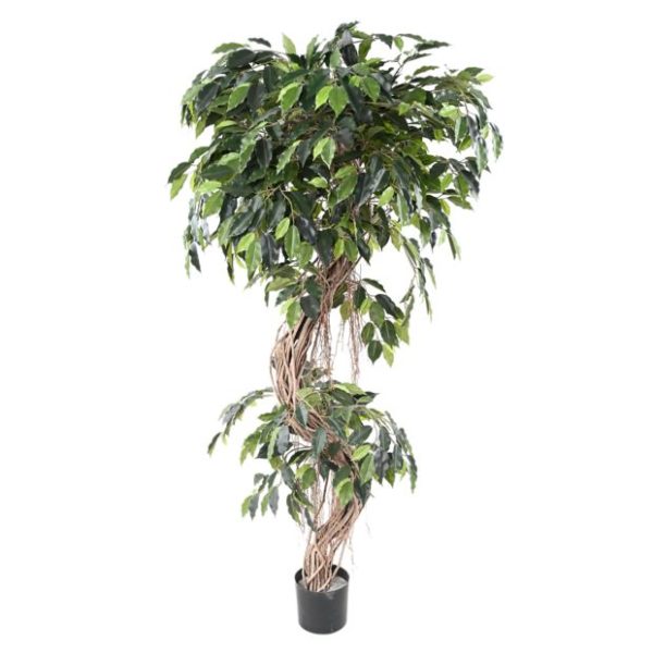 Ficus S H180cm (tronc naturel, feuillage artificiel) non rempoté